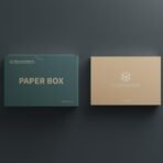 Double Socket Box 9 - 图片 3